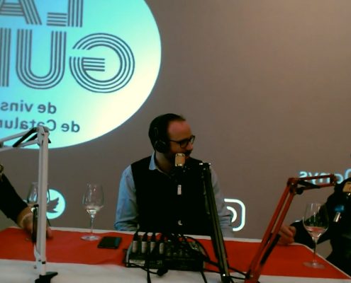 Converses-sobre-Vi-Català-Entrevista-a-Carles-Esteva-Premi-Trajectòria-de-l’edició-LA-Guia-2018-DO-Penedès-i-DO-Cava